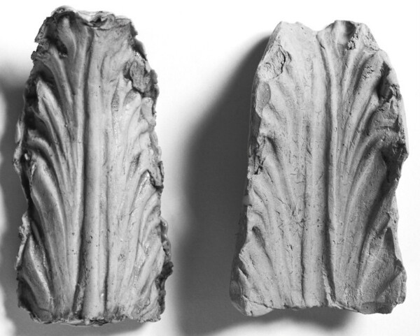 Unknown, Mold of a Leaf
