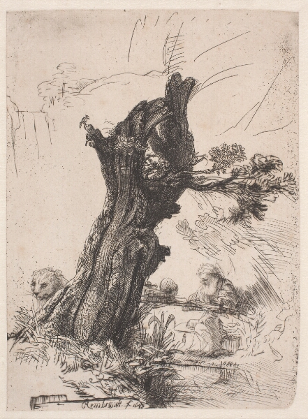 Rembrandt van Rijn, St. Hieronymus ved et stynet piletræ