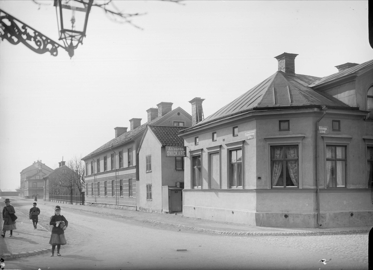 Alfred Dahlgren, Dragarbrunnsgatan - Cabbage Bound, Kungbed, Uppsala 1901 - 1902