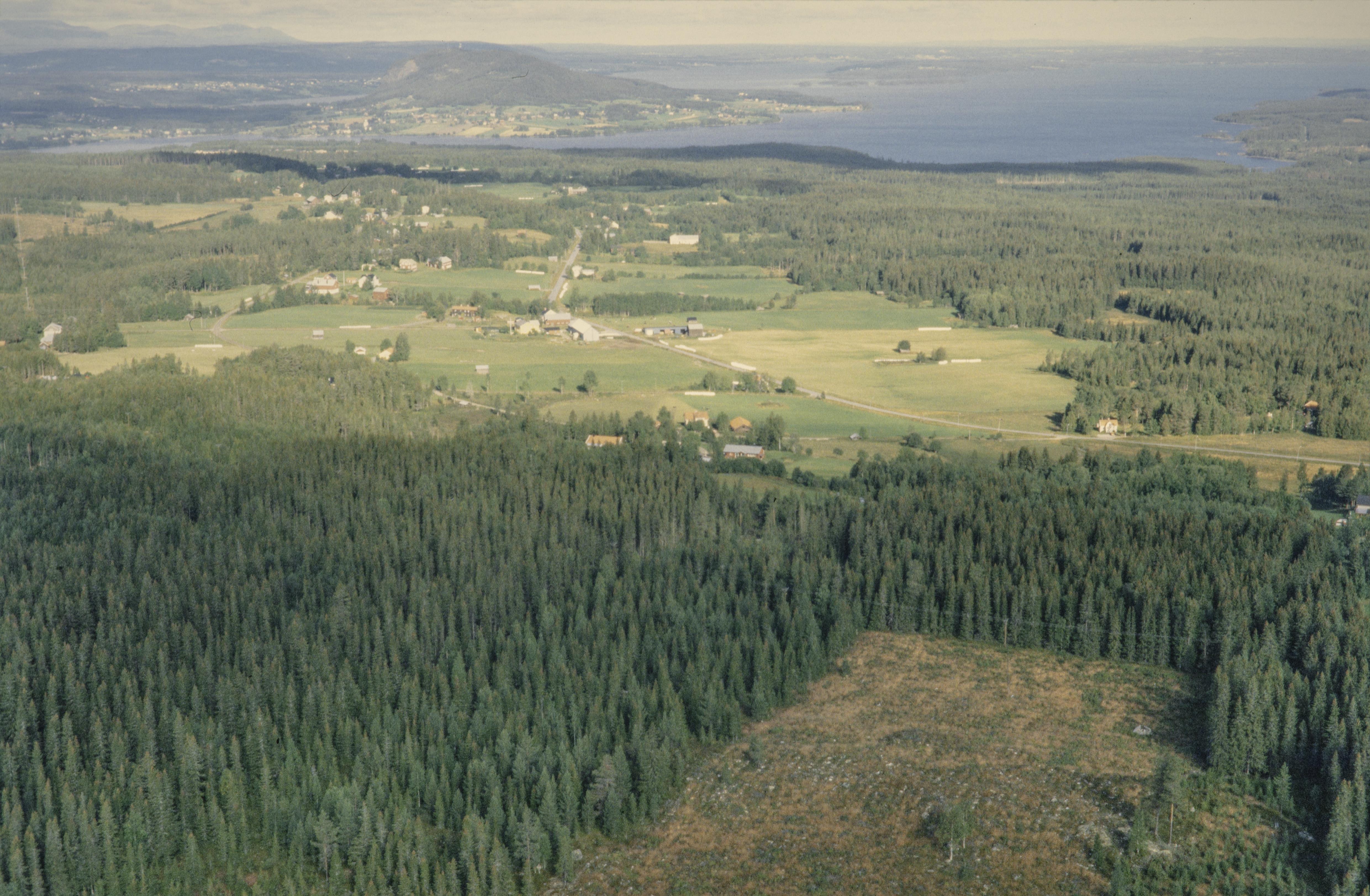 Jan Norrman, Berg 431