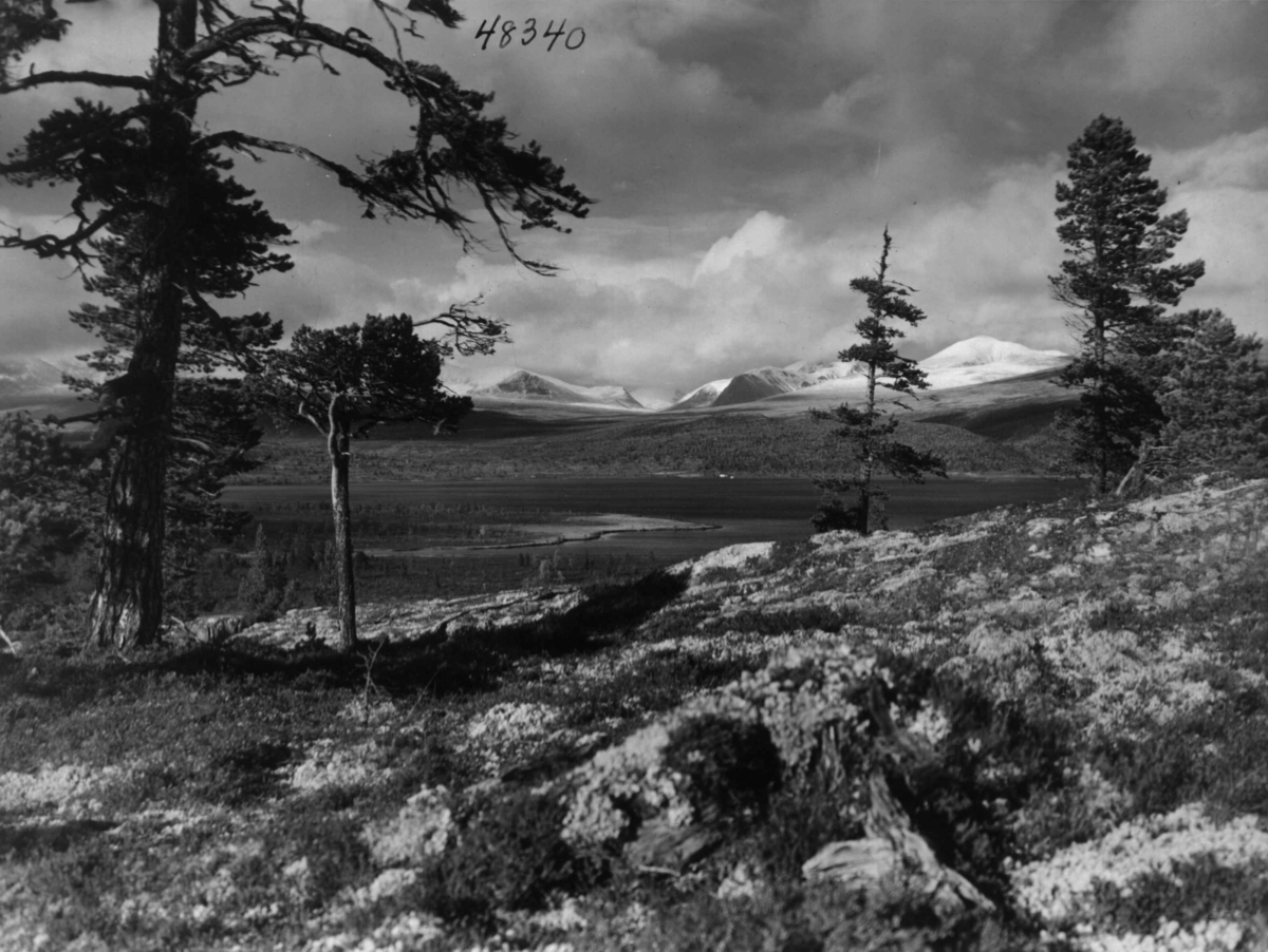 Anders Beer Wilse, Rondane, Furusjoen, Landskap