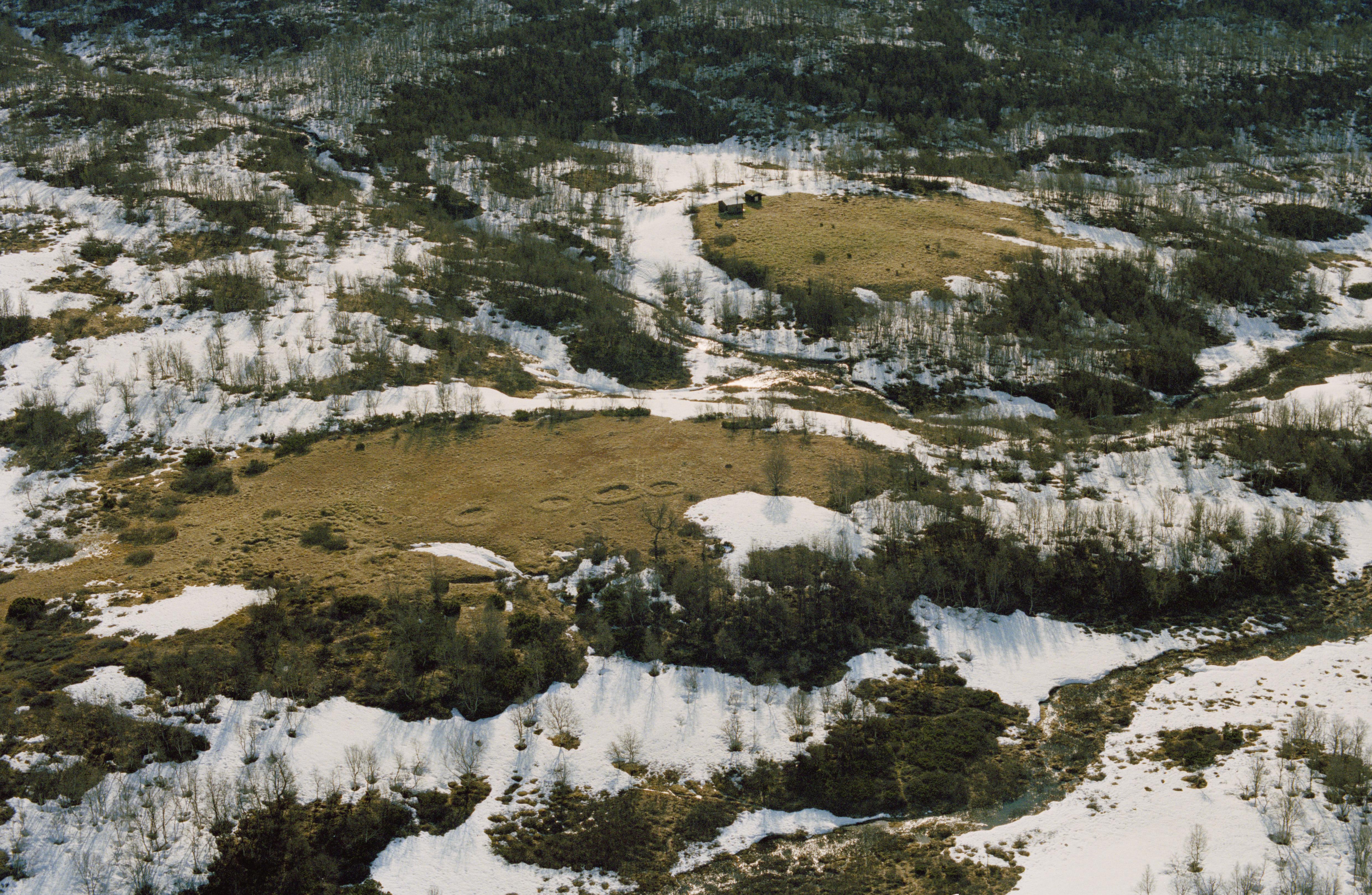 Jan Norrman, Vilhelmina 14:1