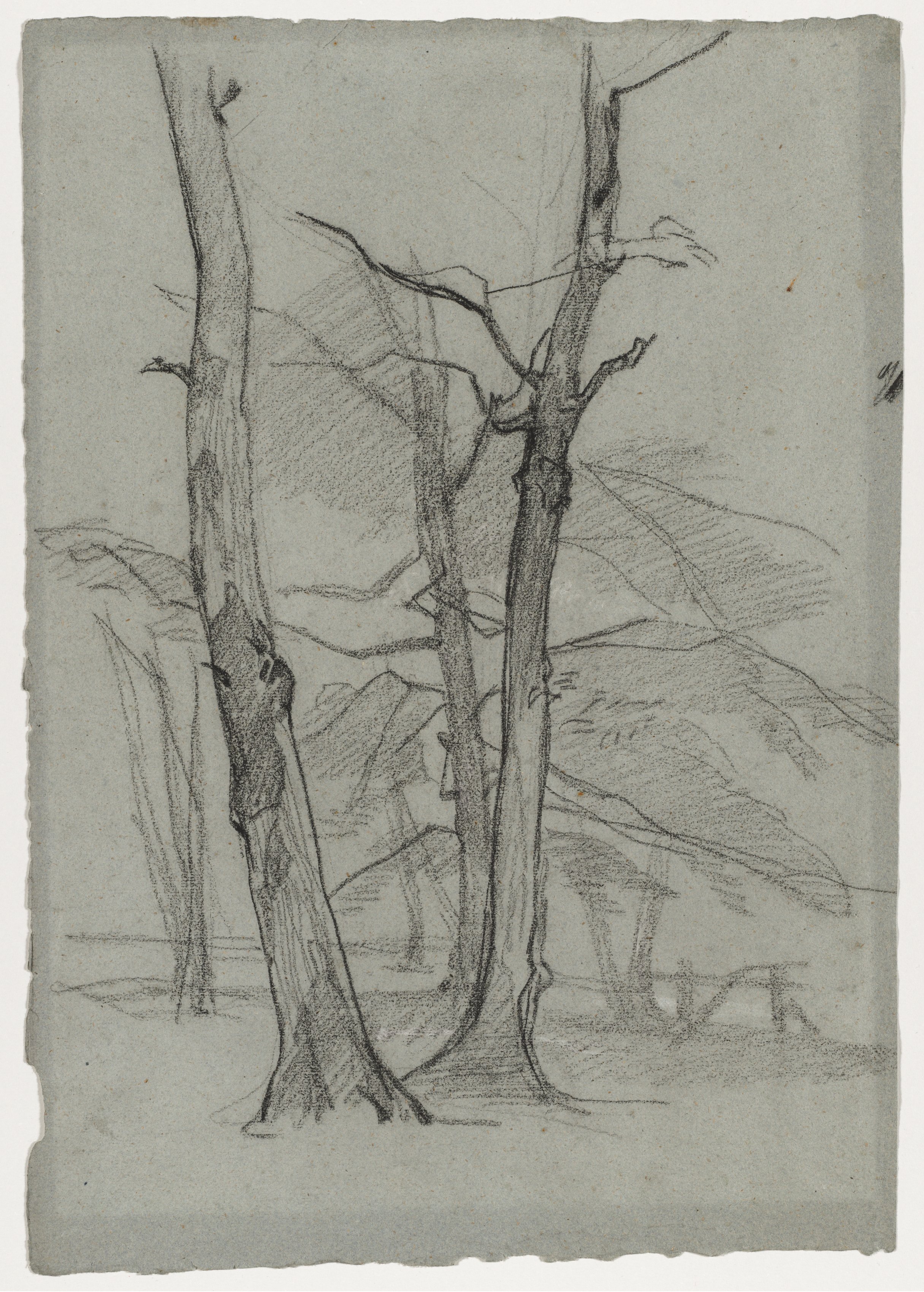 Thomas Couture, Landscape Study with Trees