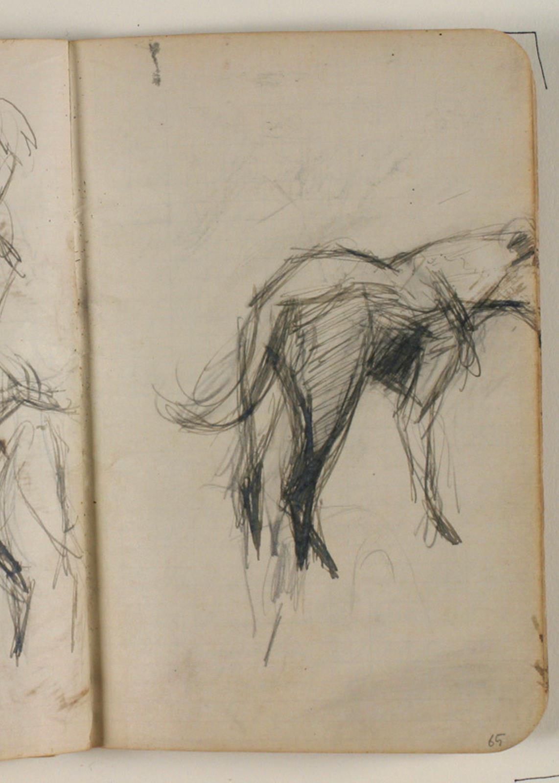 Niels Larsen Stevns, Skitser af hunde