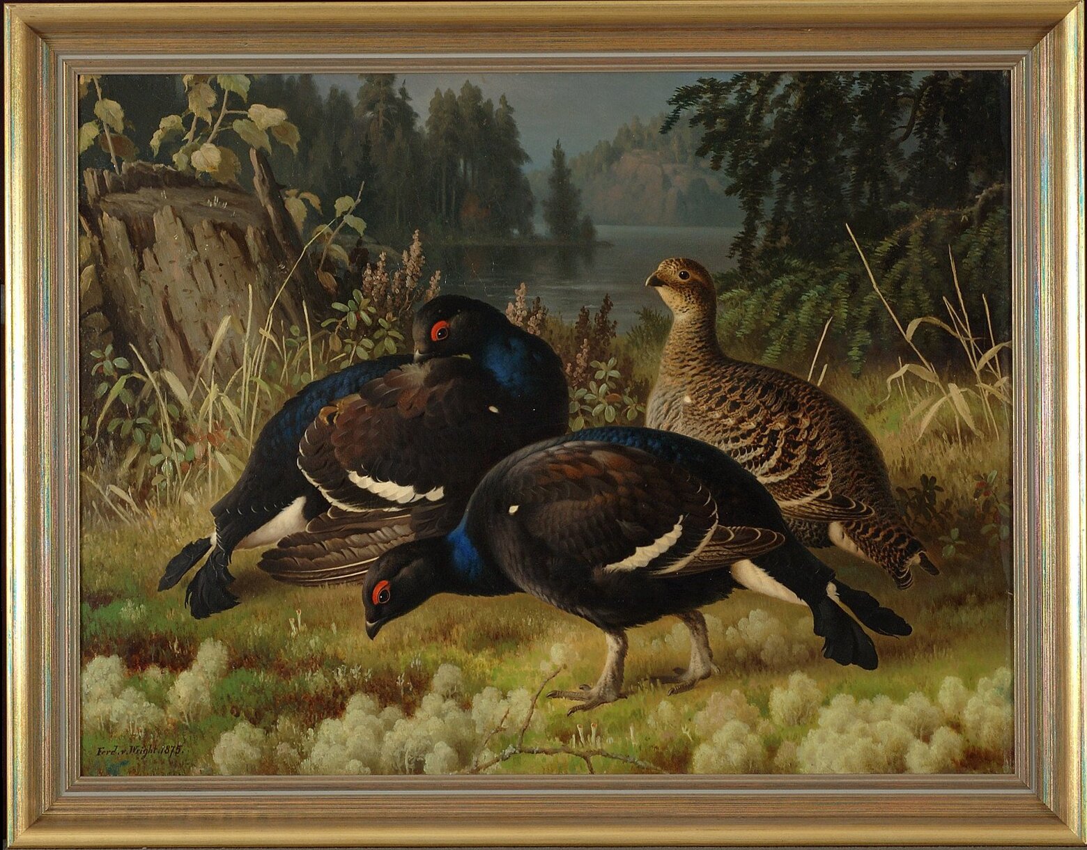 Ferdinand von Wright, Black Grouse, Two Cocks and a Hen