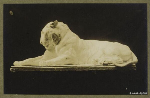 unknown, Photograph