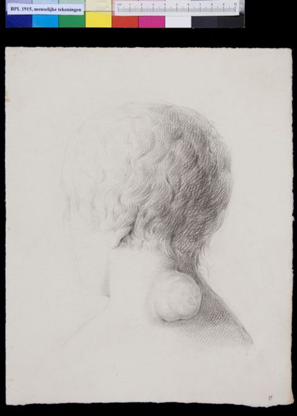 M Houtman, Spinal cord