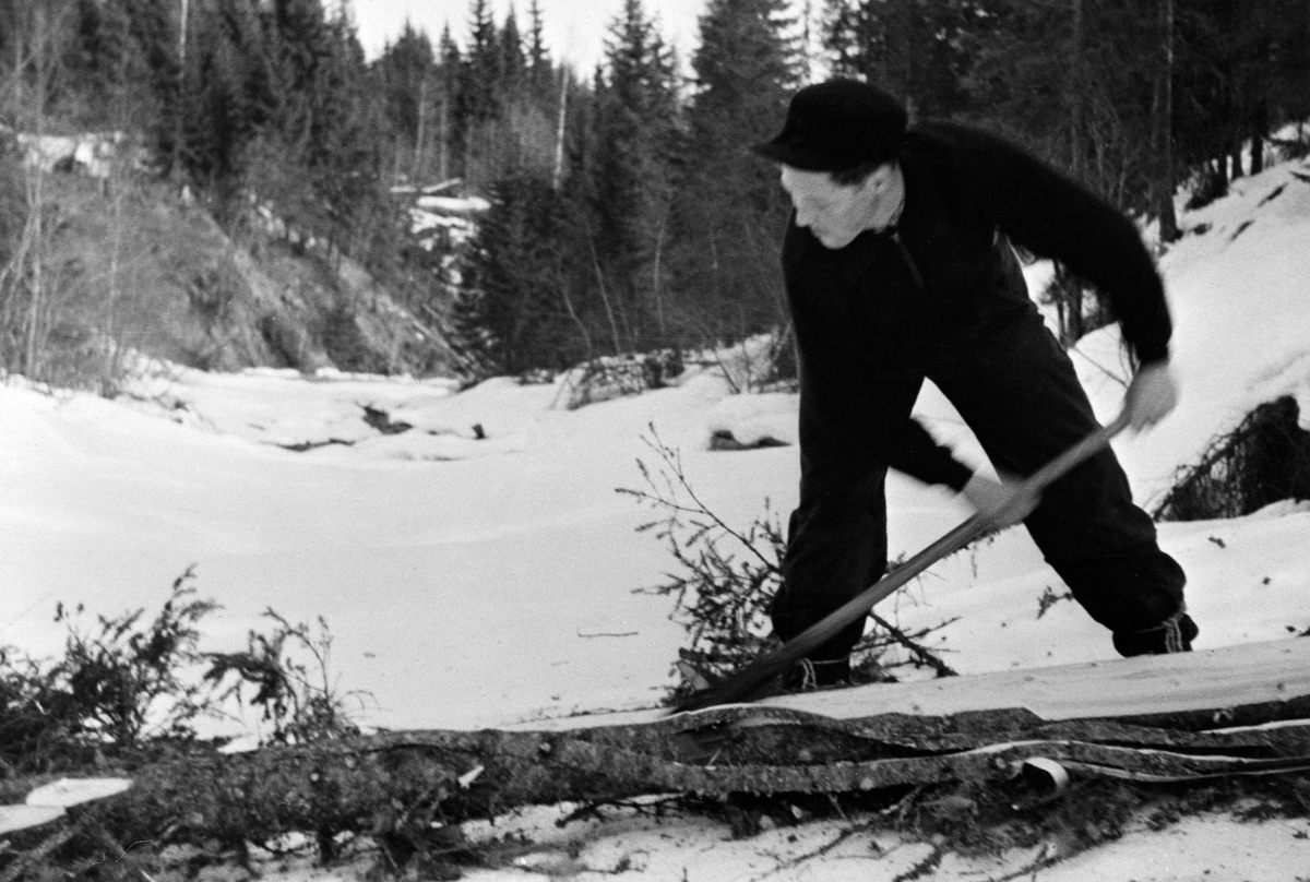 Anno Domkirkeodden, ARNFINN BRONKEBAKKEN M/BARKESPADE, TØMMERHOGST, VINTER, LØTEN
