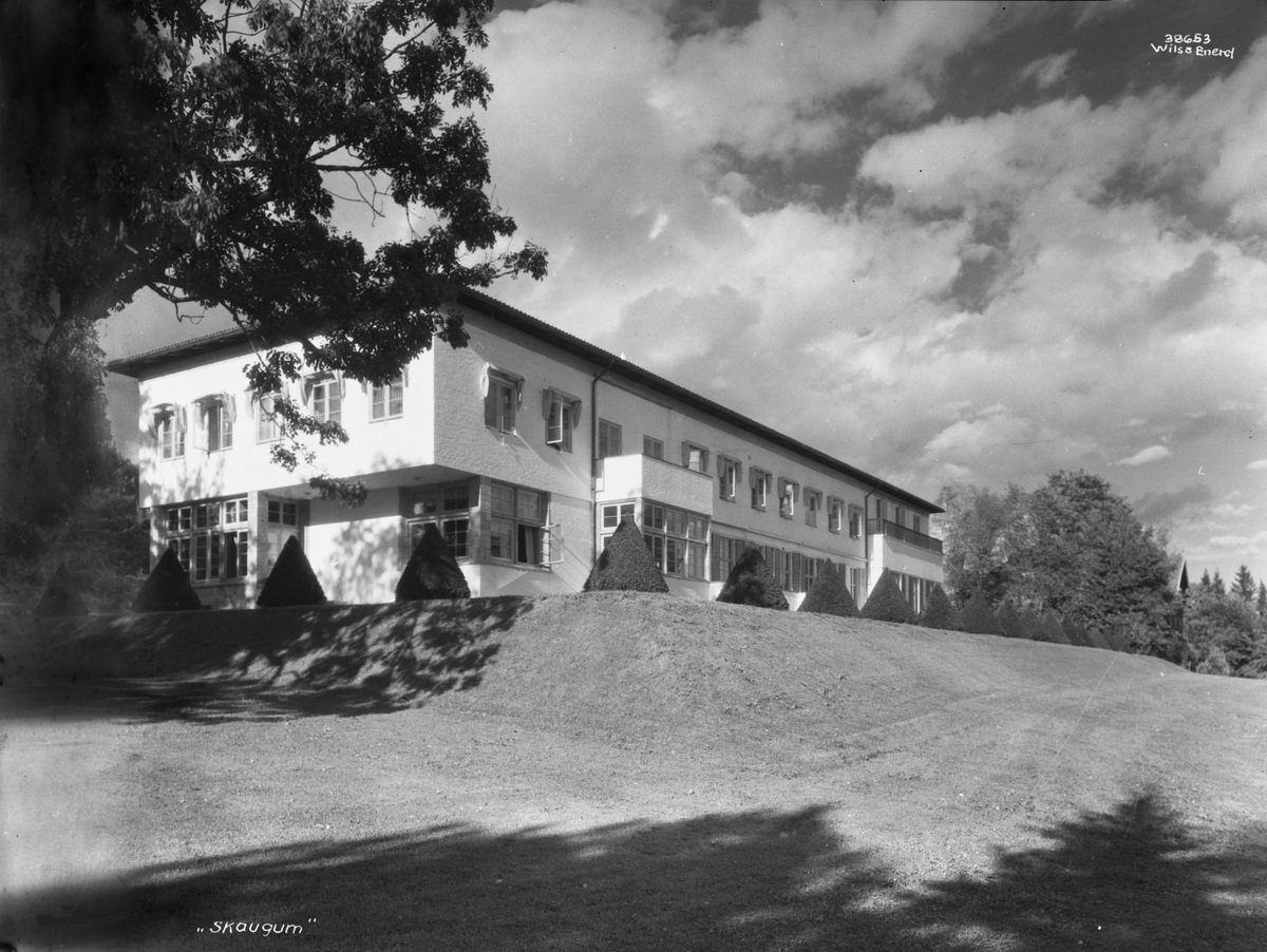 Anders Beer Wilse, Prot: Skaugum huset