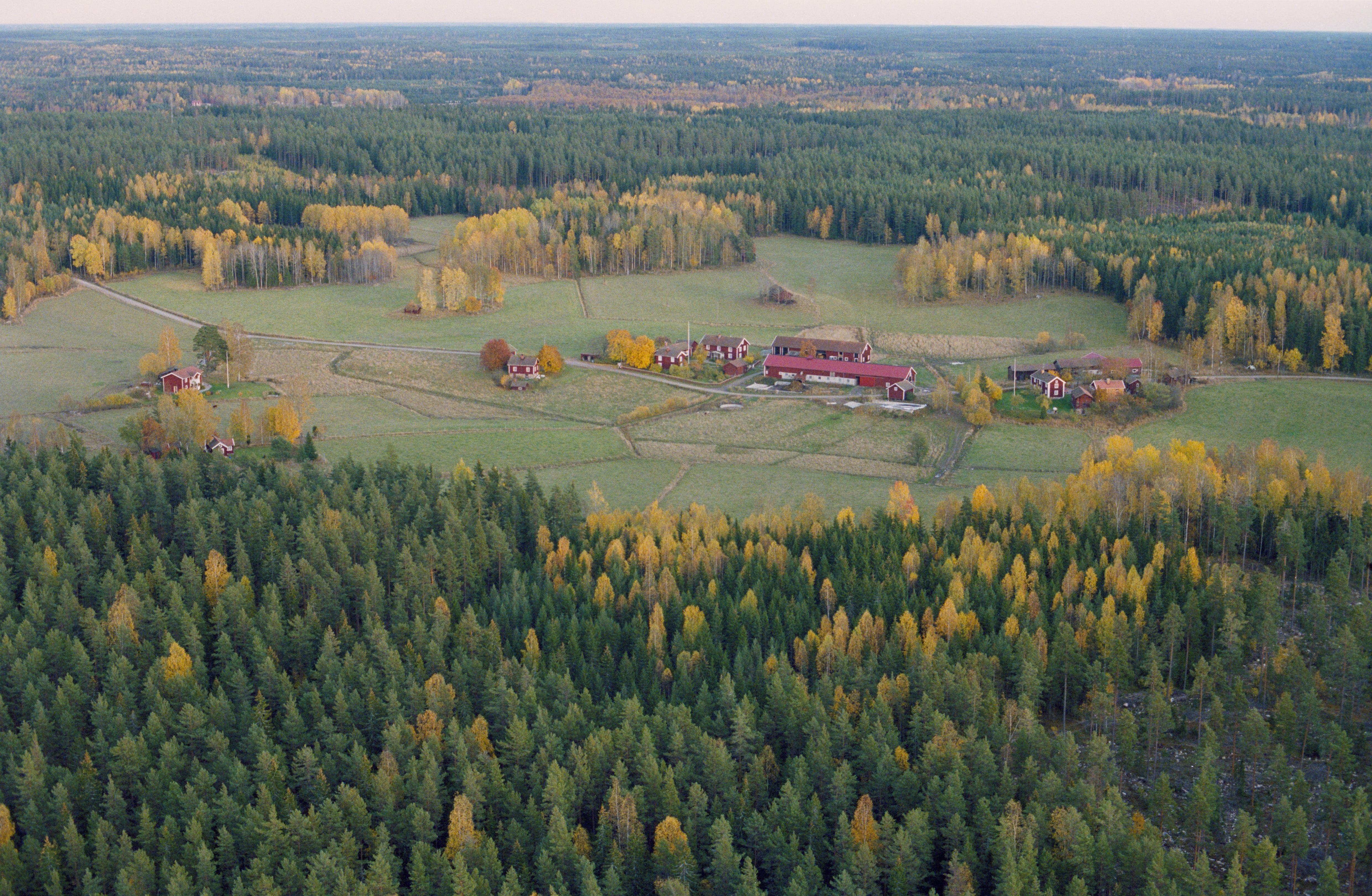 Jan Norrman, Västervåla 51:1