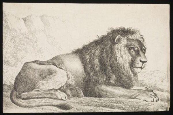 Unknown, Print