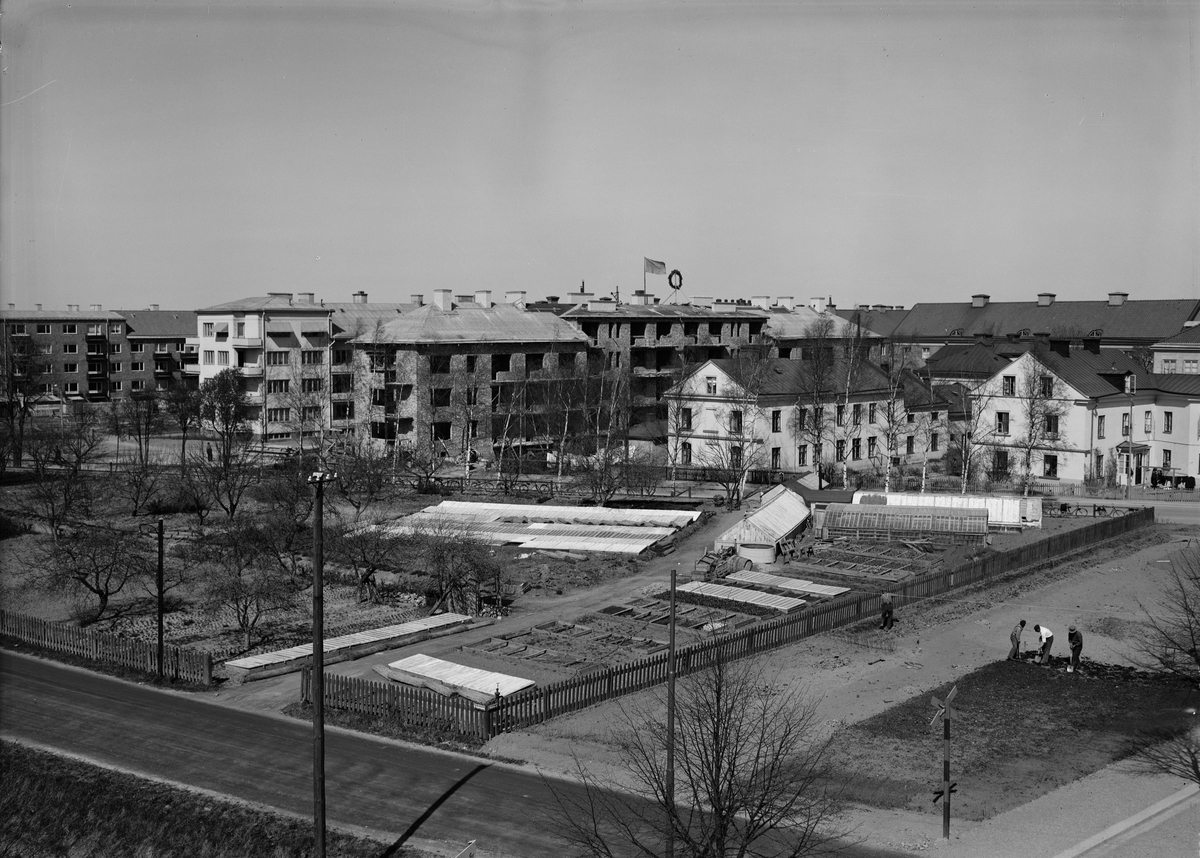Paul Sandberg, Vy över stadsdelen Luthagen, Uppsala mars 1937