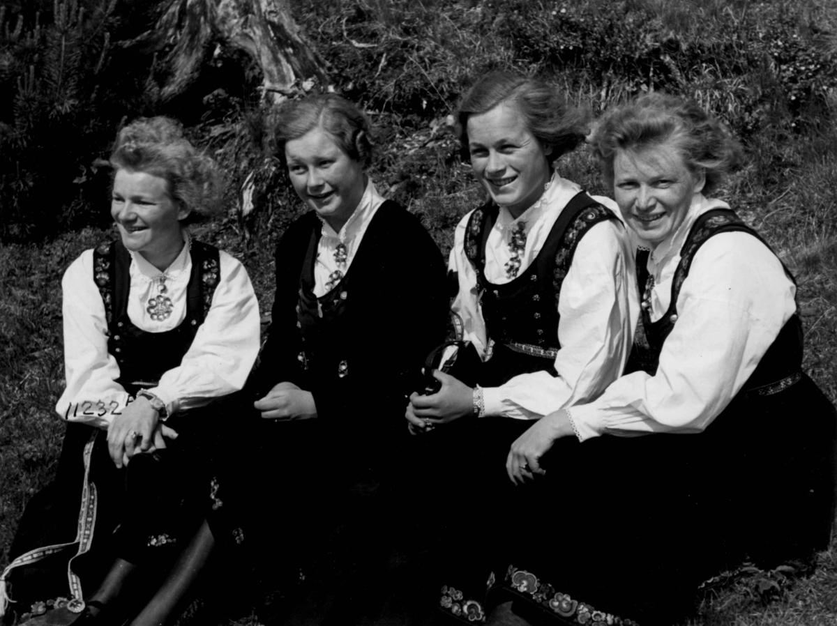 Anders Beer Wilse, Kvinnedrakter, Telemark
