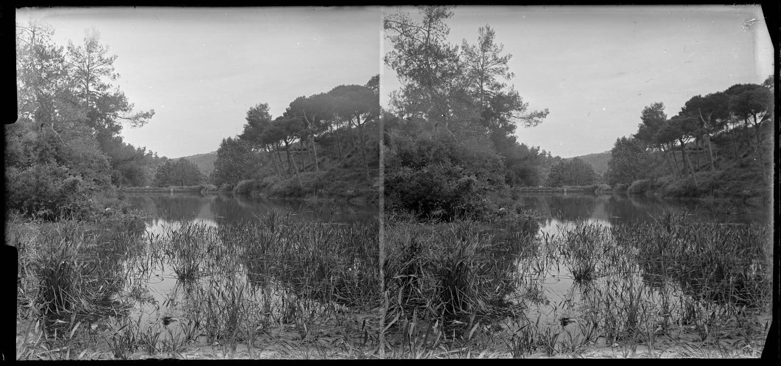 Desconegut, [Vallvidrera Marsh]