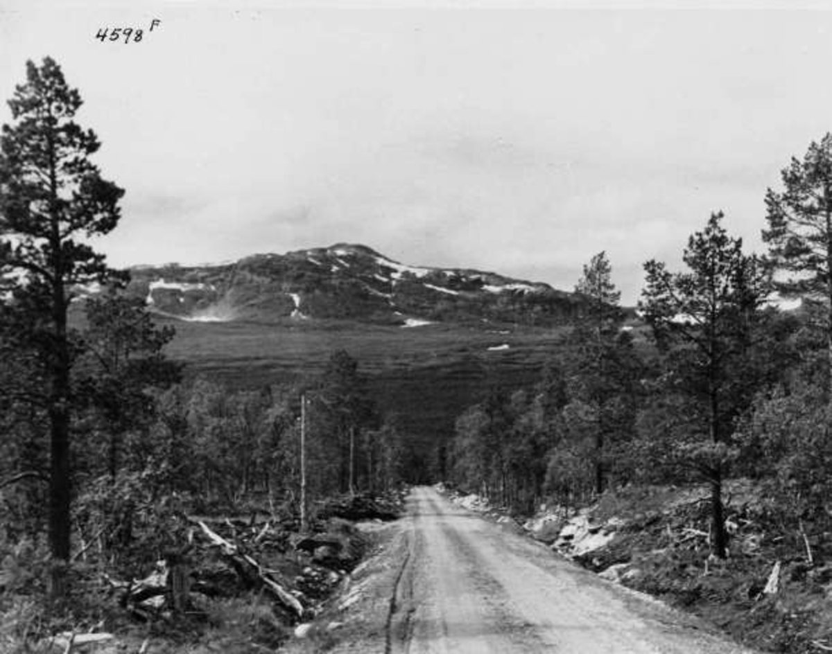 Anders Beer Wilse, -6468