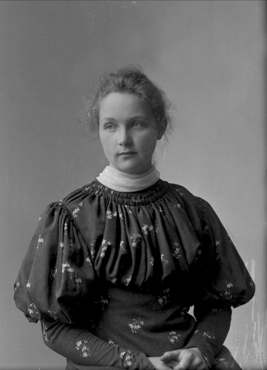 Gustav Borgen, NFB.27646