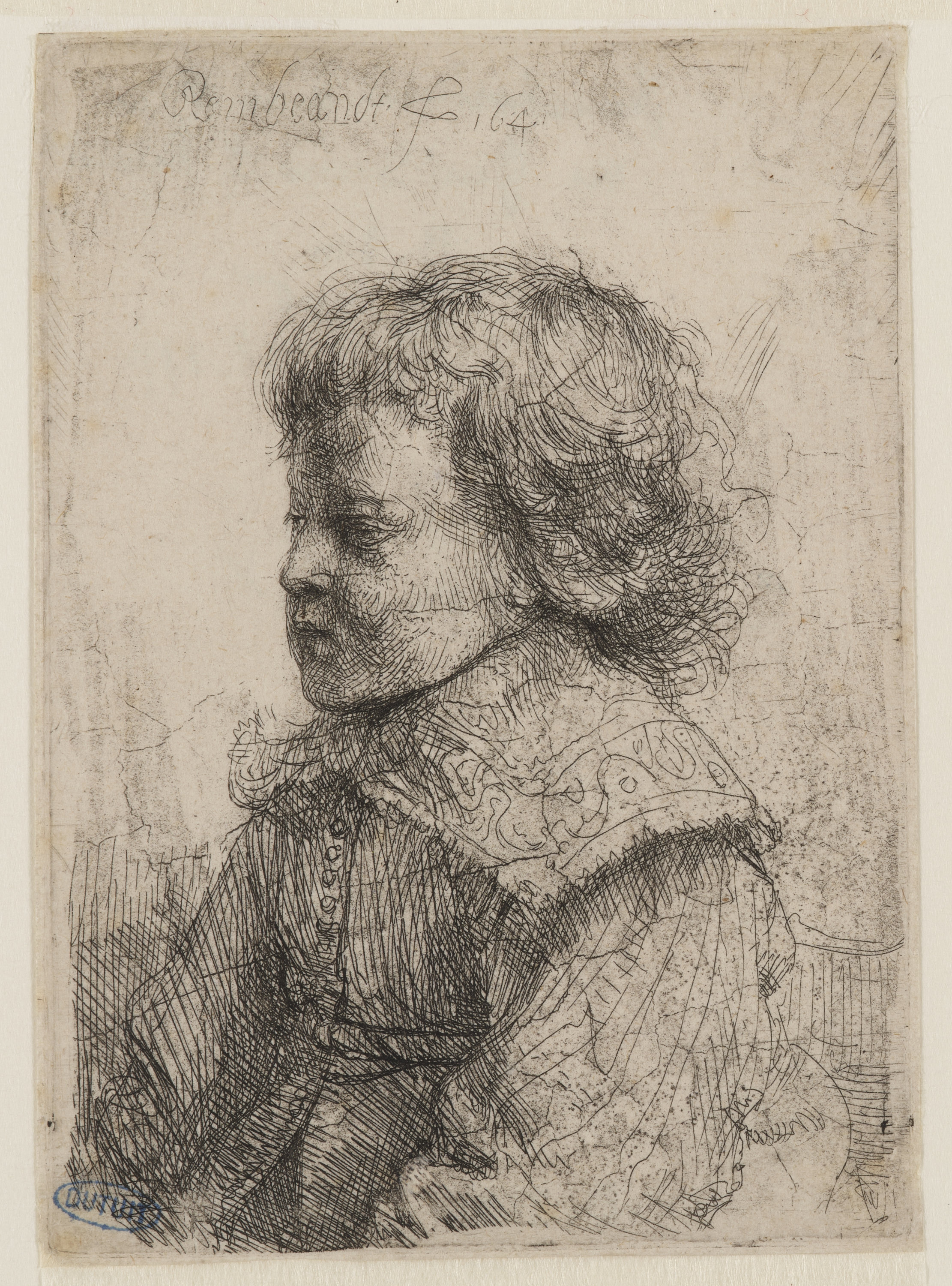 Rembrandt, Portrait d'un jeune garçon de profil (Bartsch 310)