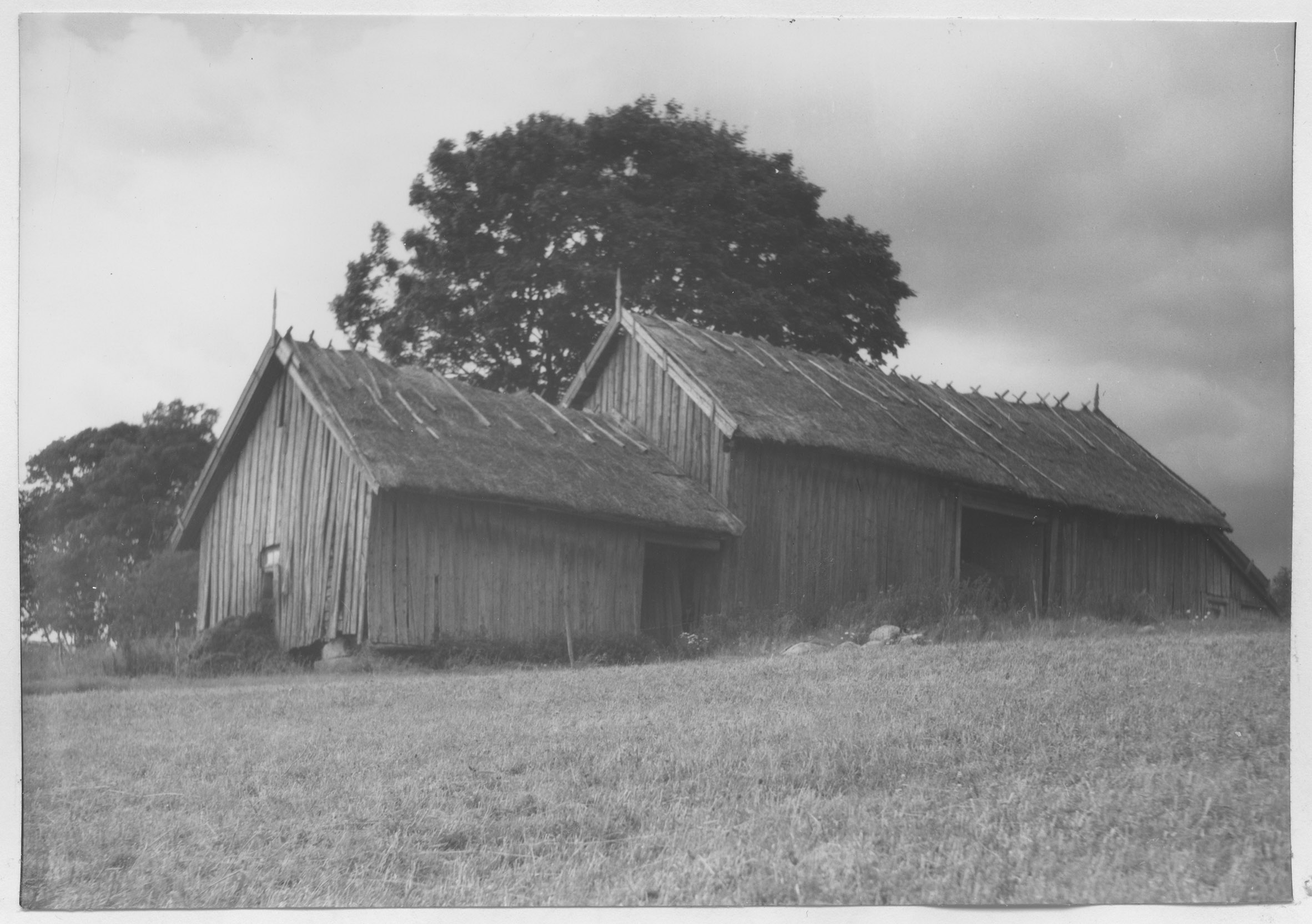Mårten Sjöbeck, Västra Torp