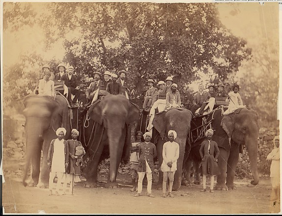 Unknown, [Four Elephants with Western Travellers and Attendants, Jaipur, India]