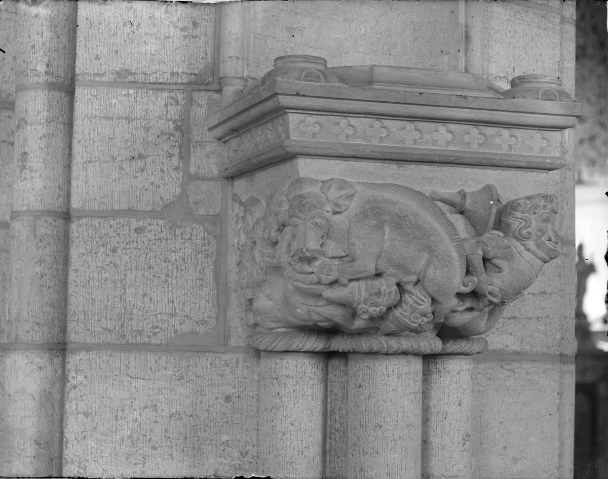 Henri Osti's Fotografiateliér, Kragsten i Uppsala domkyrka, Uppsala före 1914