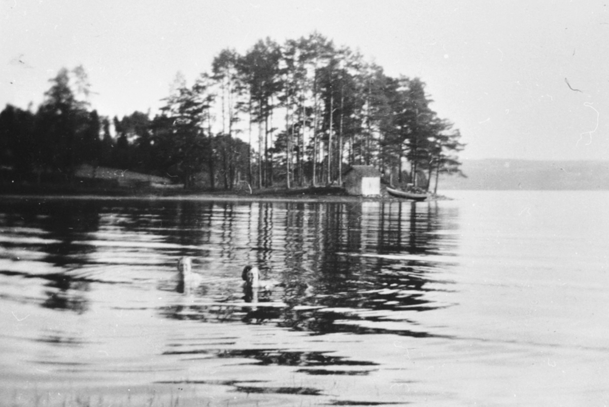 Anno Domkirkeodden, 2 damer i vannet på badeplassen i Hvervenvika, Brumunddal.