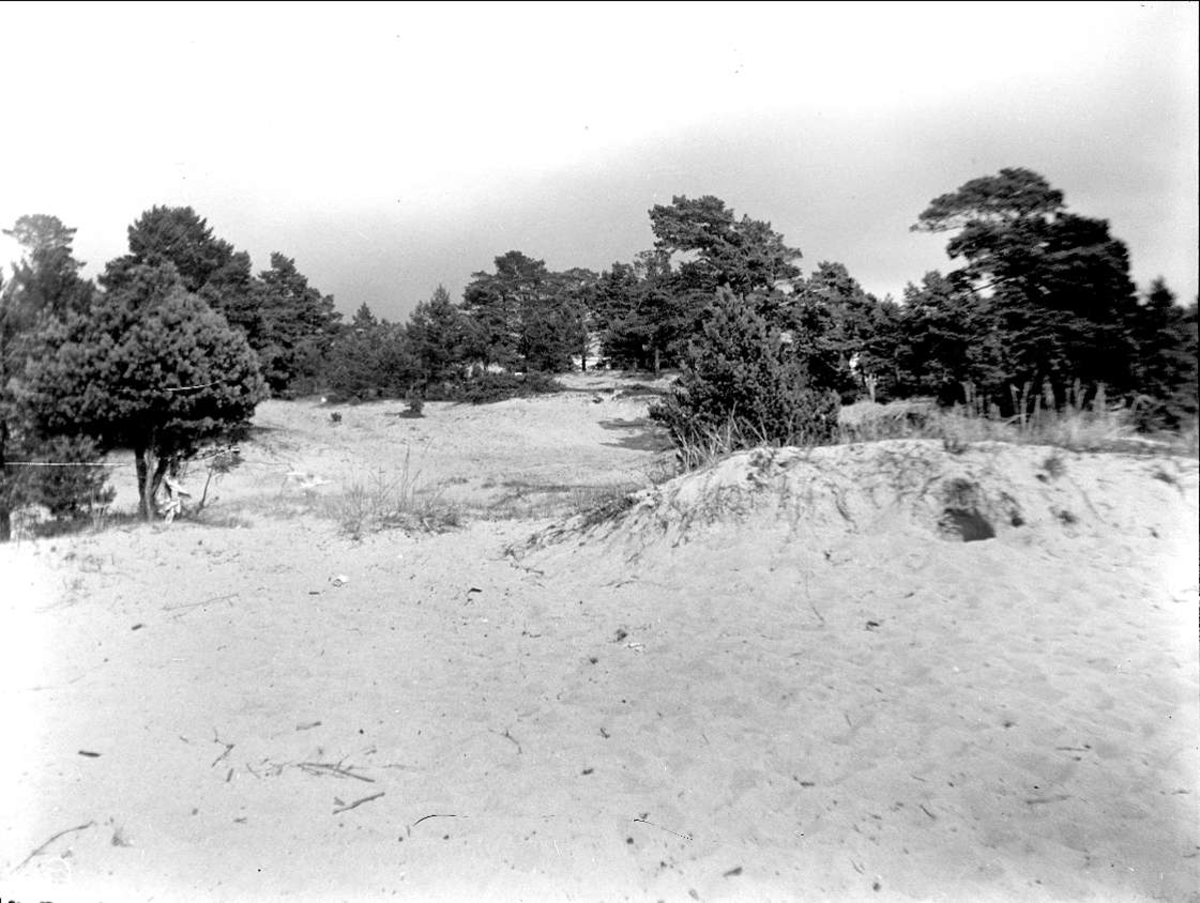 August Fredrik Schagerström, Dynerna vid "Tronville", Stockholms skärgård 1927