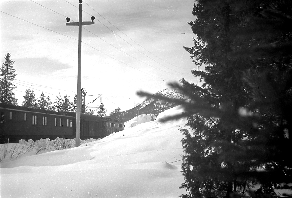 Anders Beer Wilse, Konv: Leica Statsbanene