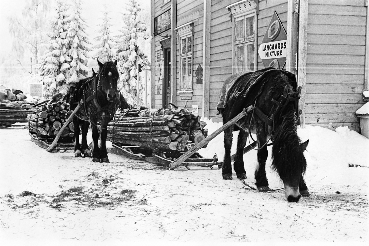 Anders Beer Wilse, Prot: Vinter Vedsaging