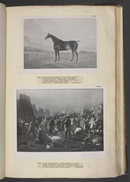 Edwin Cooper, Portrait of a horse