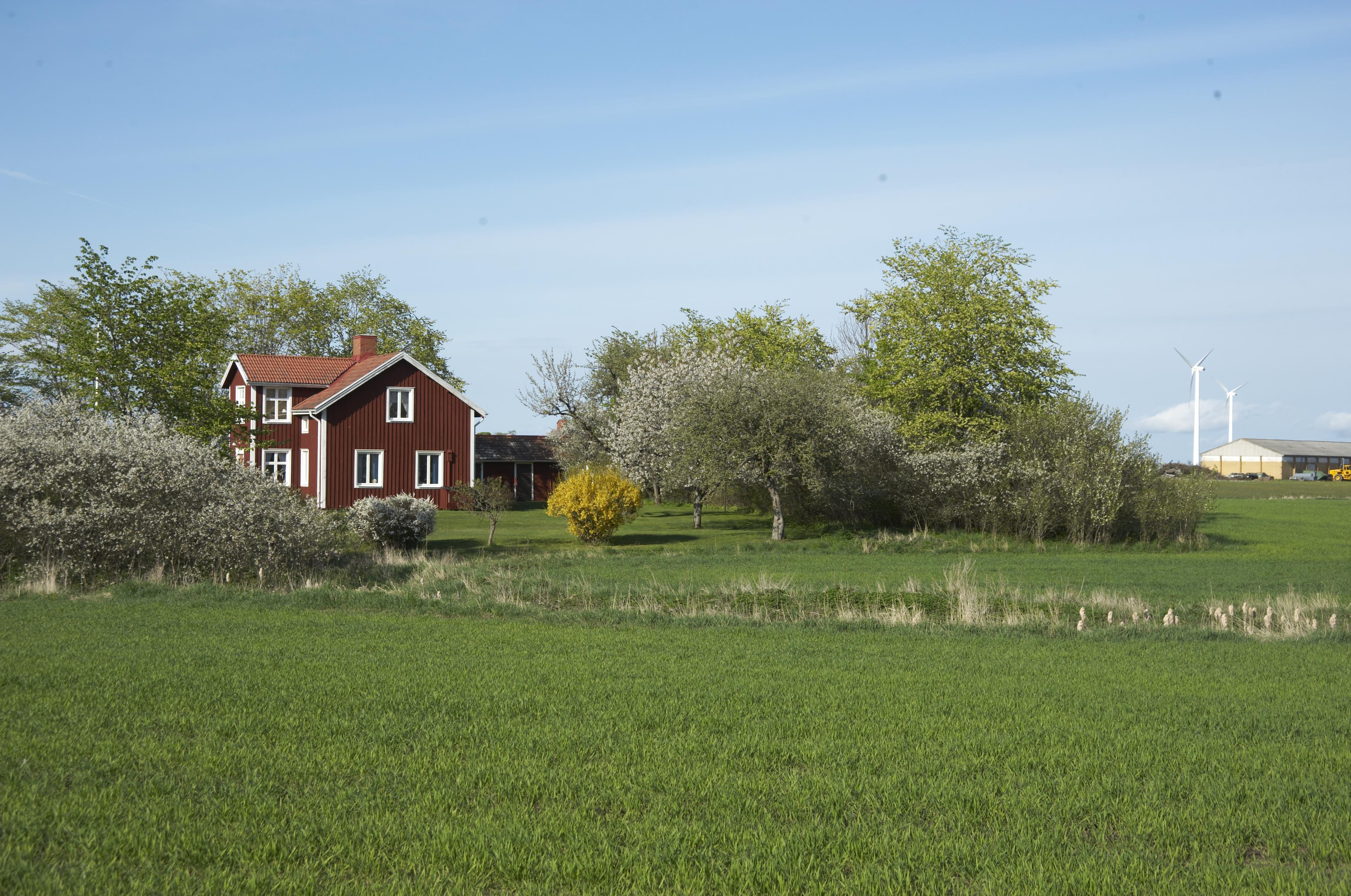Bengt A Lundberg, Rök