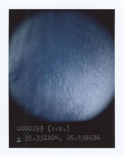 Anton Kusters, Sonda , 0000293 (est.) , 59.351804, 26.838636 , CO