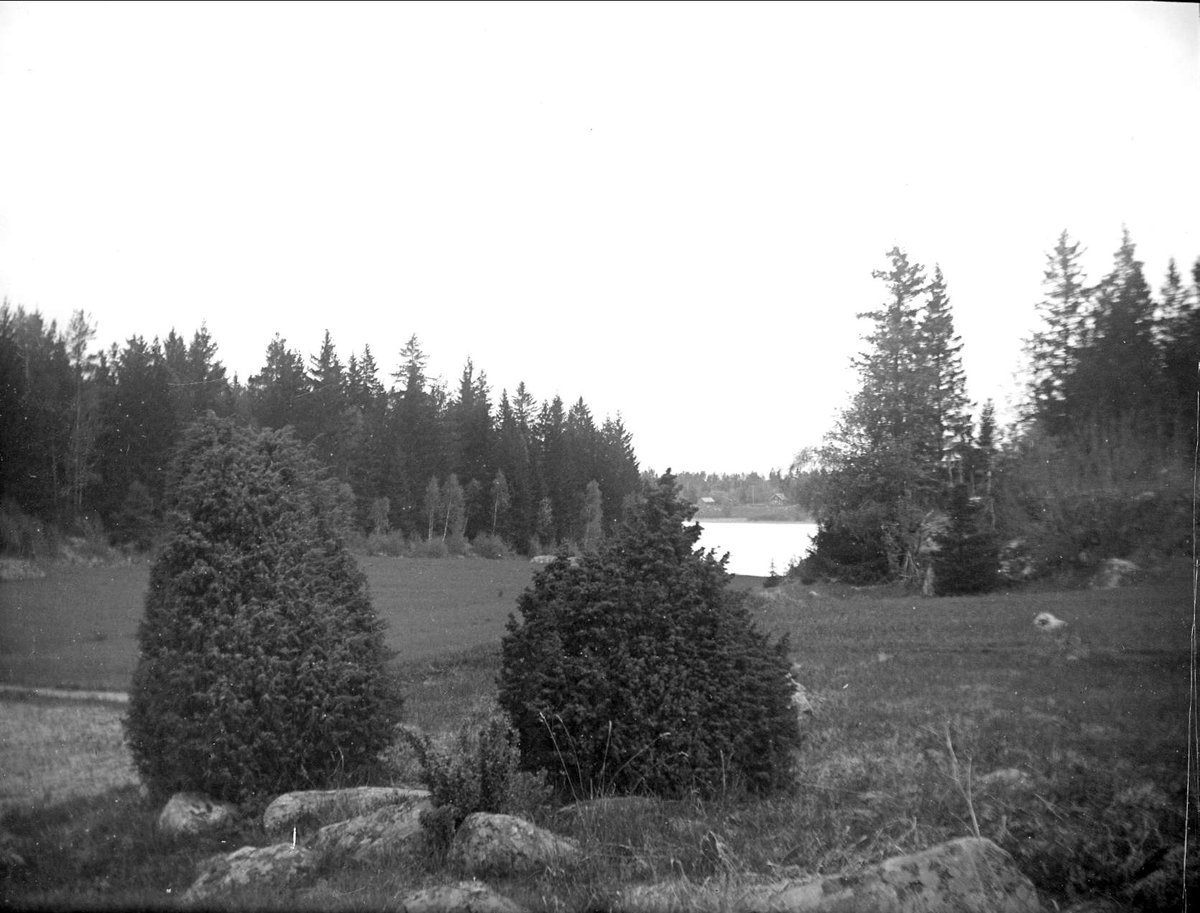 August Fredrik Schagerström, Arable land on Lake Trehörning, Funbo parish, Uppland June 1923