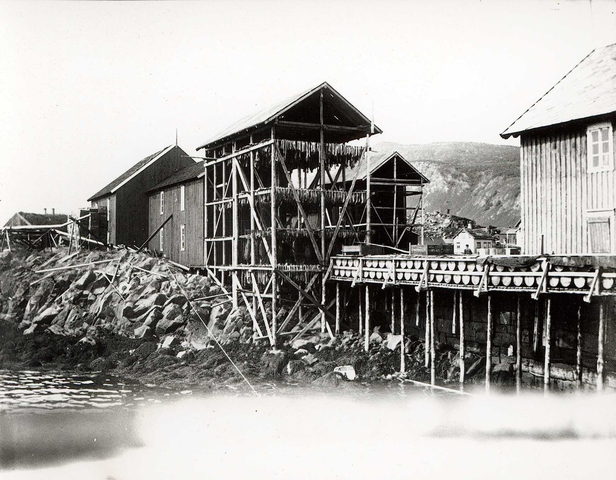 Tom Kent, Fiskebruk med tørkehus for tørrfisk og stabel med tønner sett fra sjøen. Boliger ligger lenger inn og fjell i bakgrunnen.