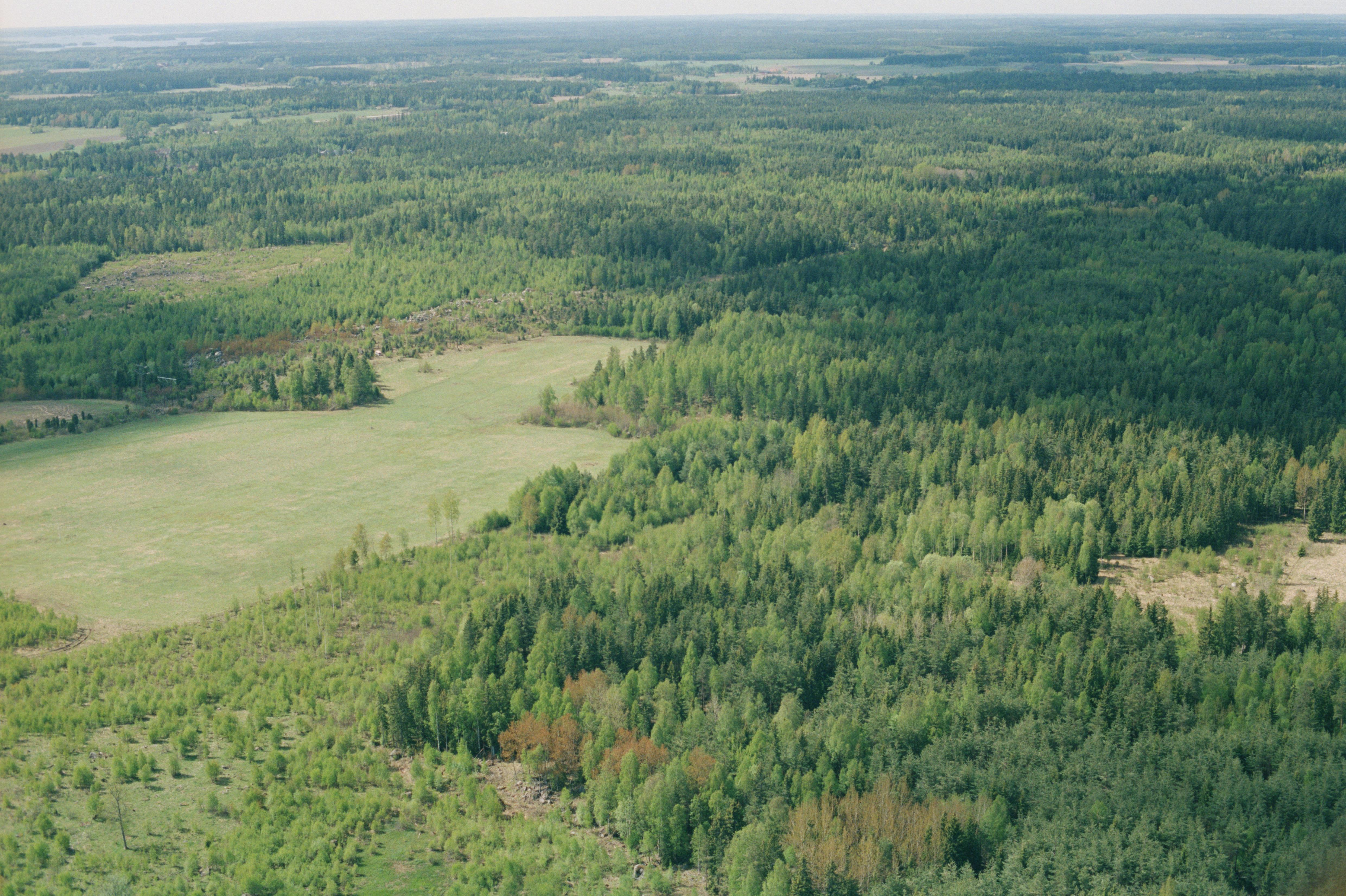 Jan Norrman, Tillinge 134:1