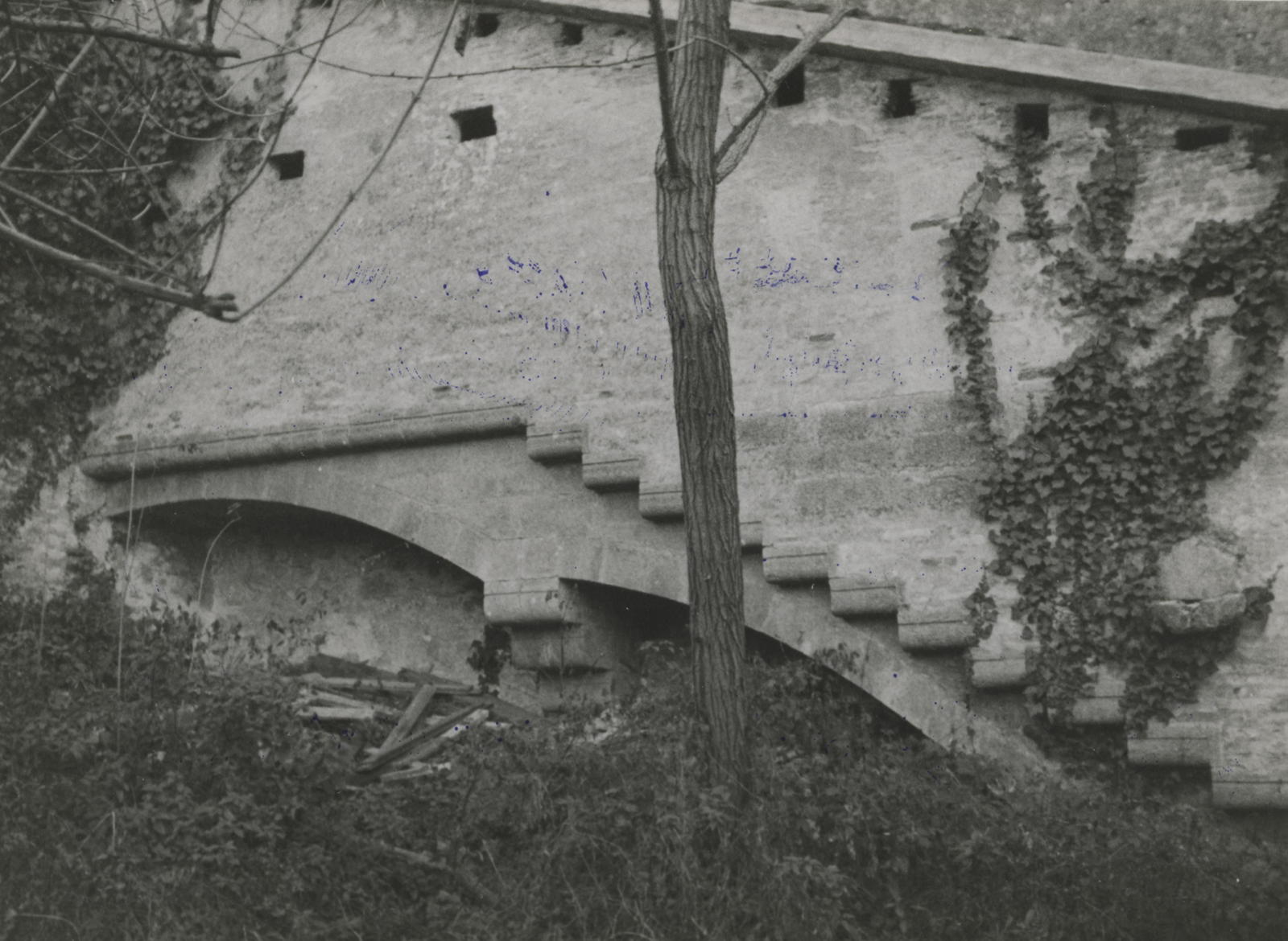 Desconegut, [Archaeological Walk]