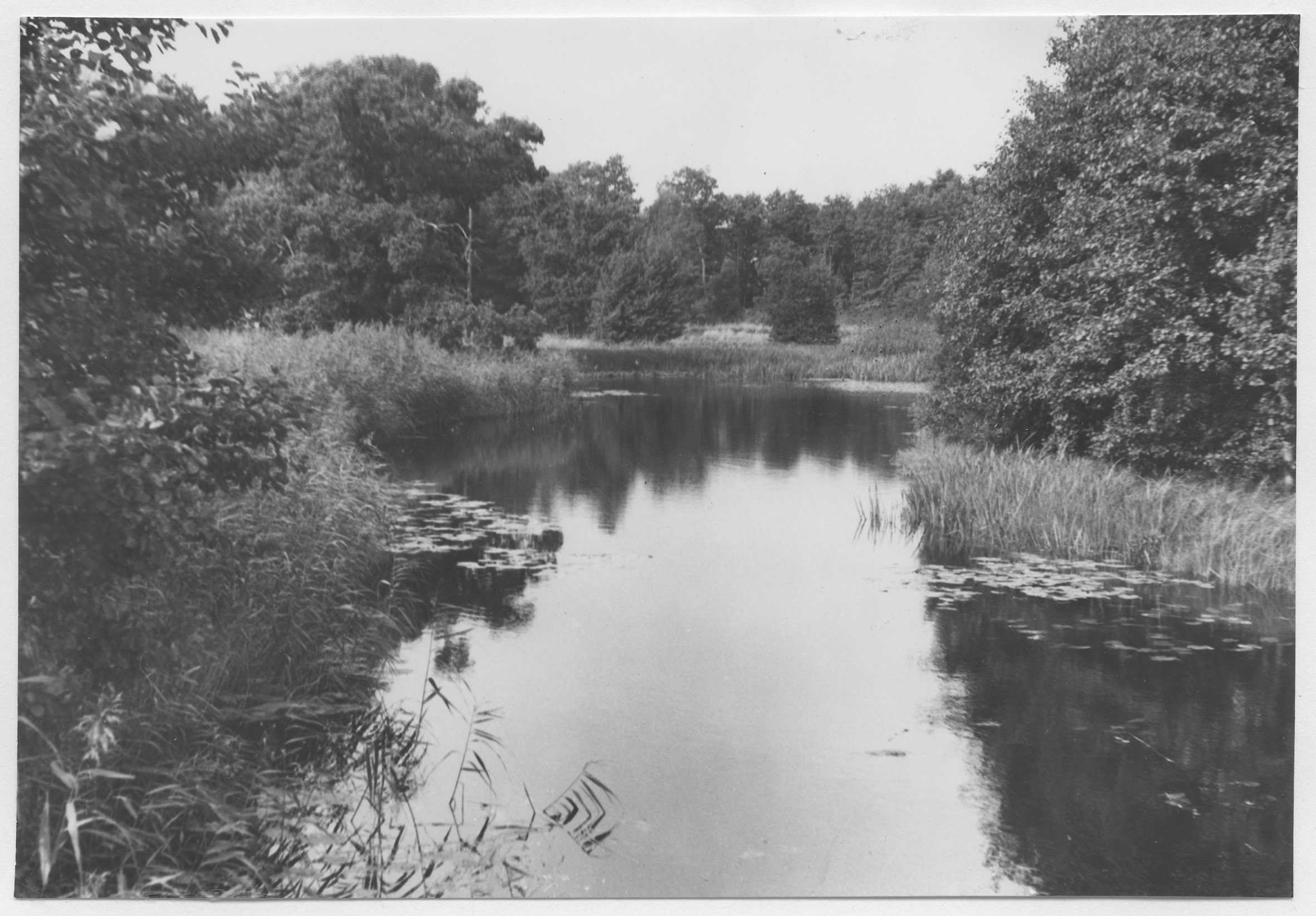 Mårten Sjöbeck, Nättrabyån