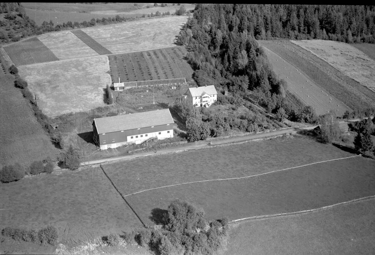 Anno Domkirkeodden, Flyfoto, gardsbruk, Lie nedre, Nes, Hedmark.