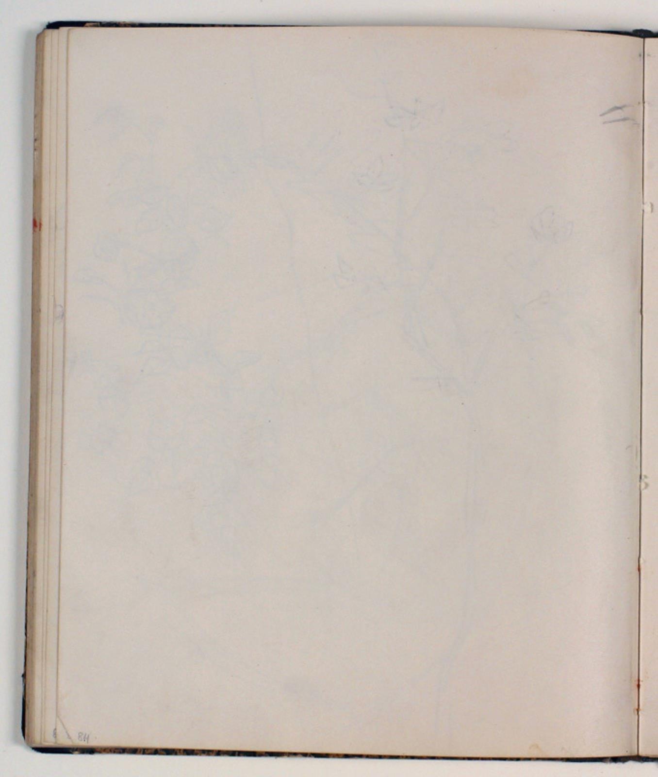 Niels Larsen Stevns, Blank
