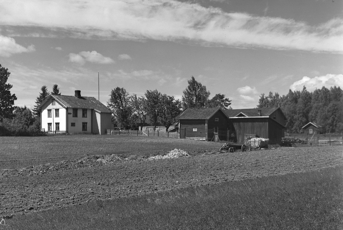 Anno Domkirkeodden, EKSTR: GARDSTUN, NÆSTAD. Se Løtenboka, bind 1. Bygdeboka fra 1949, side 279