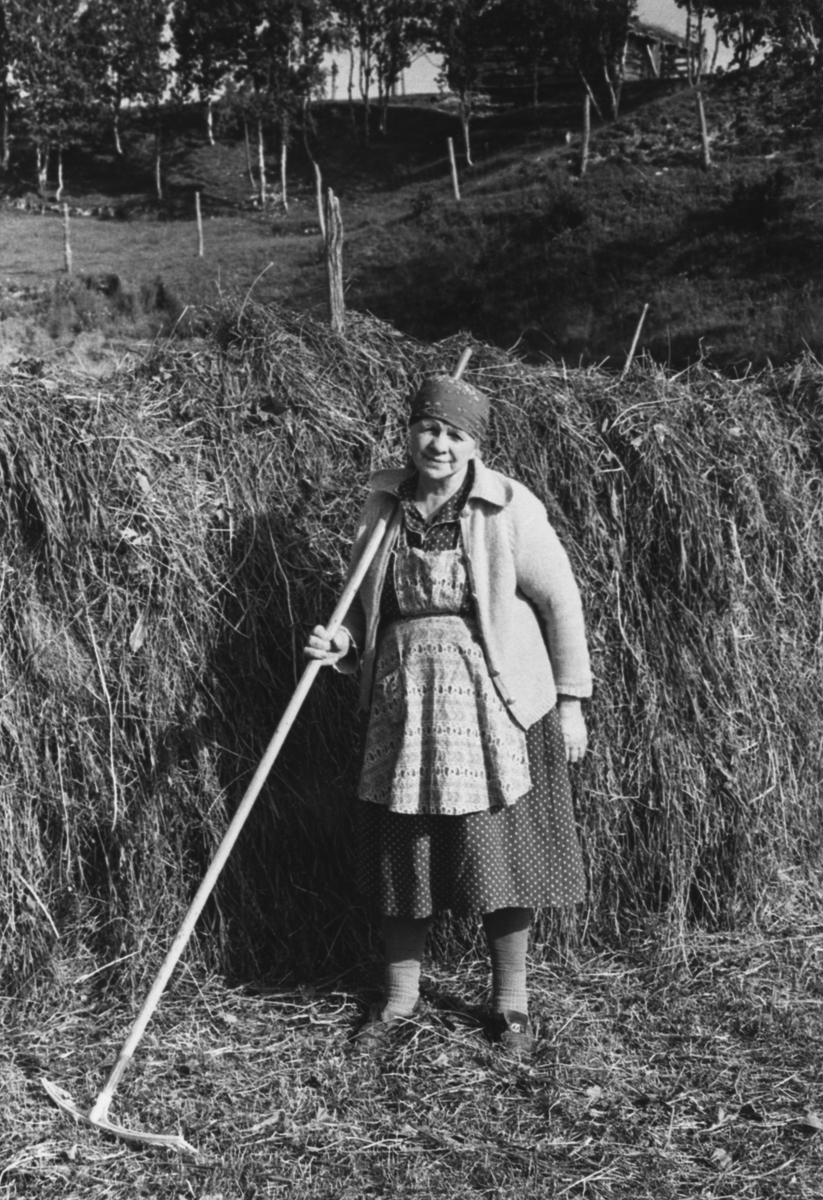 Ukjent, Tora Thomasgård med rive