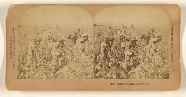 Benjamin West Kilburn, Cotton Picking in Full Blast.