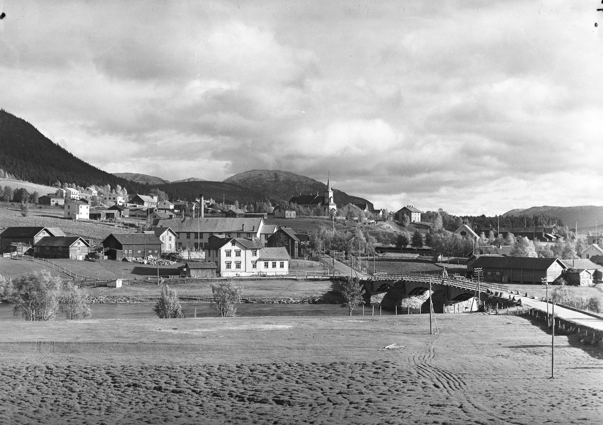Anders Beer Wilse, Prot: Østerdalen Alvdal