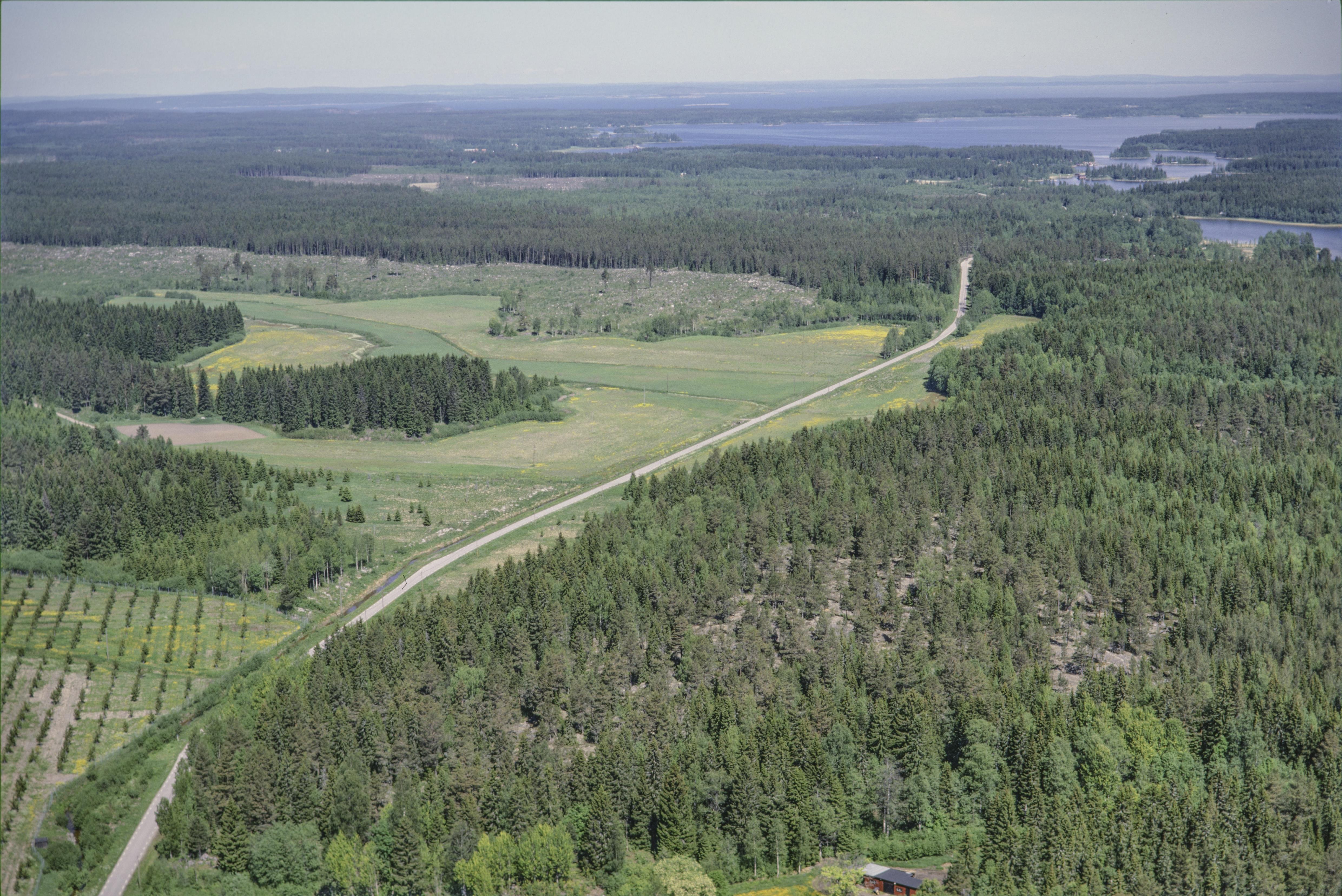 Jan Norrman, Njurunda 442:1
