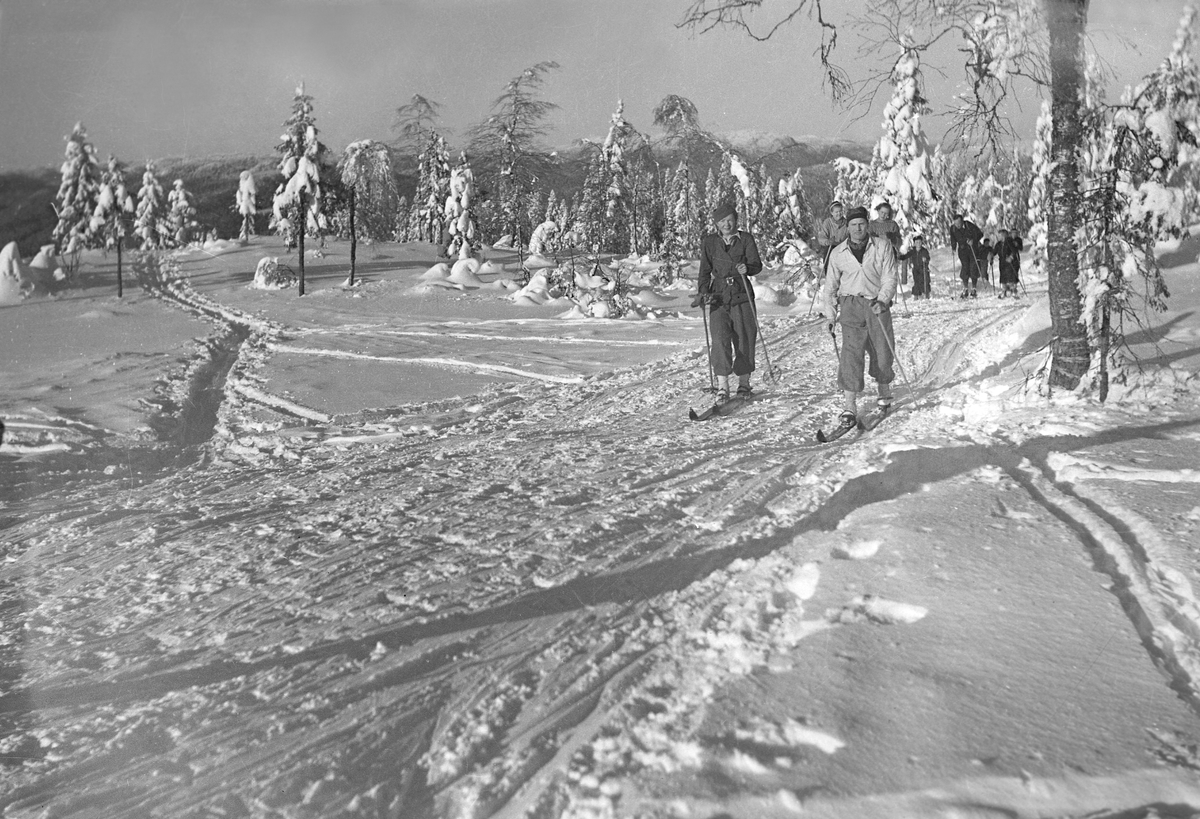 Hermann Christian Neupert, Tryvannshøyden. Folk går på ski.