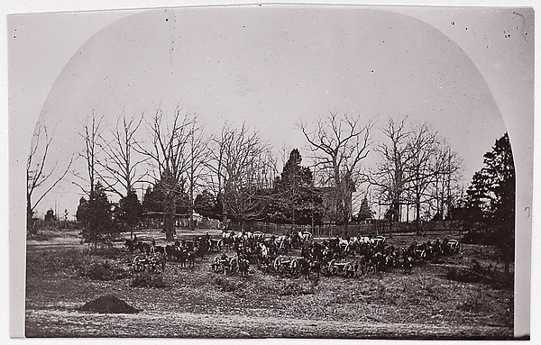 Unknown, [Cache of Cannon].  Brady album, p. 123