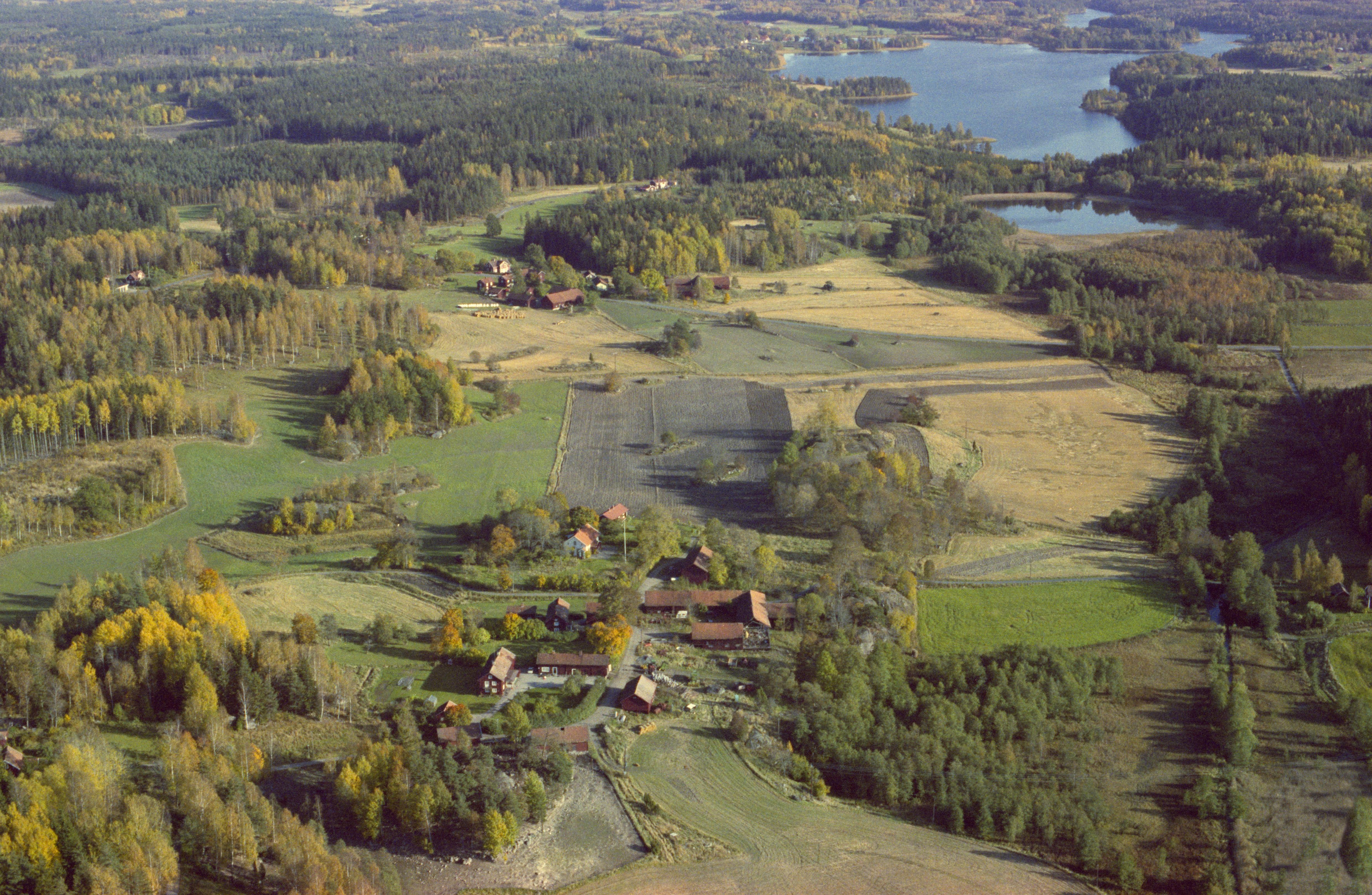 Jan Norrman, Granhed