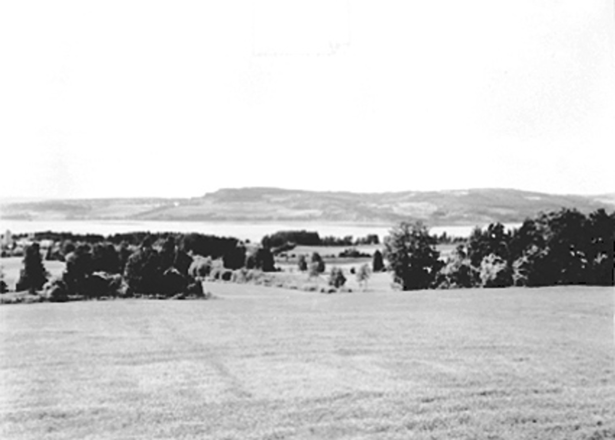 Anno Domkirkeodden, UTSIKT OVER HOLSJORDET MOT KORNSILOEN, MJØSA