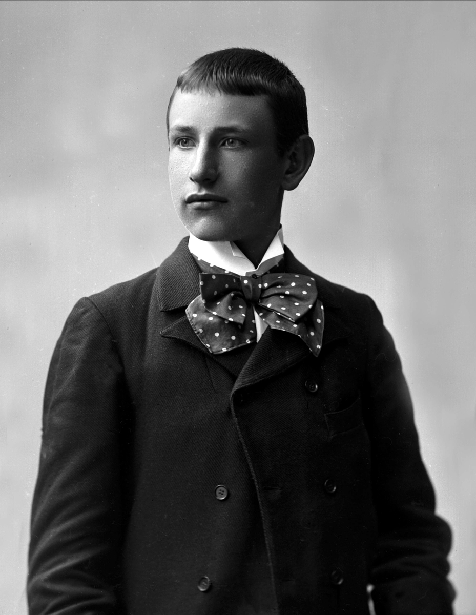 Gustav Borgen, NFB.08100