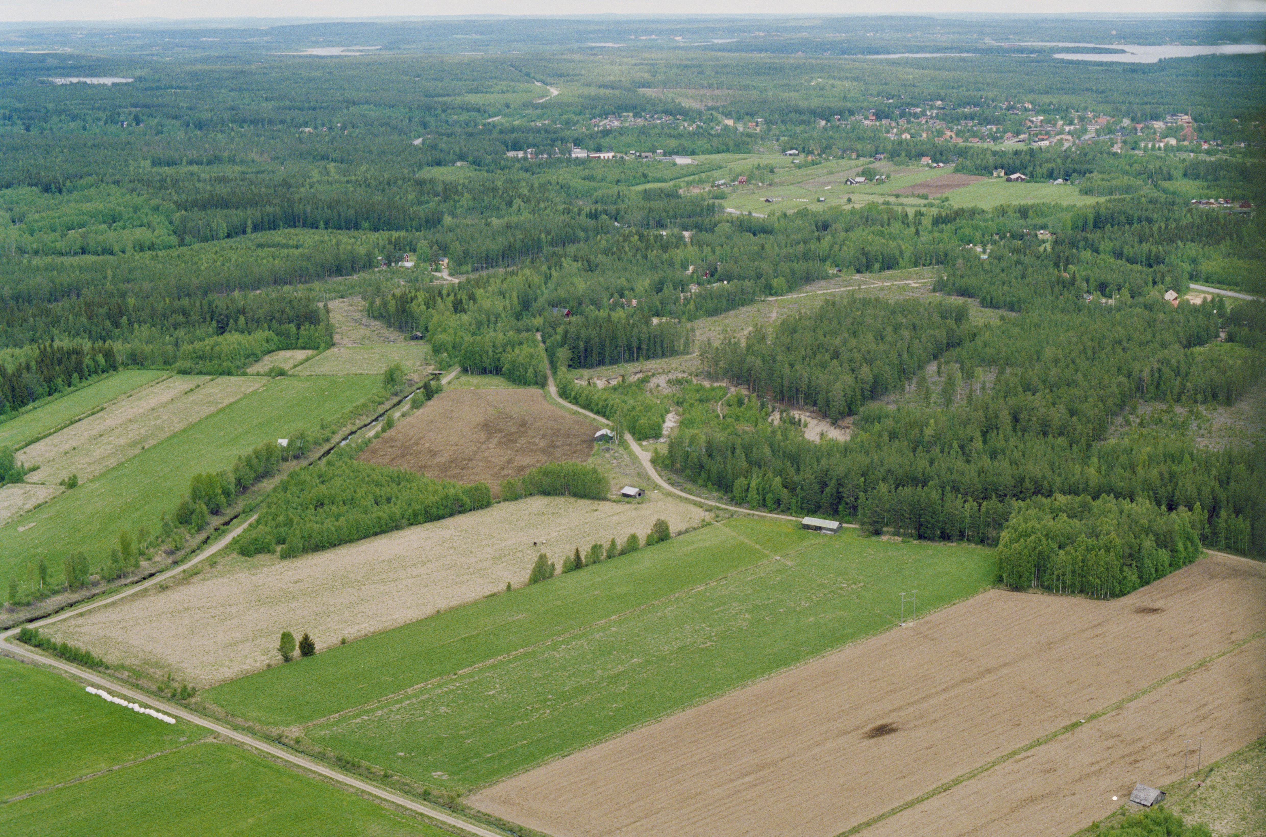 Jan Norrman, Bureå 351:1