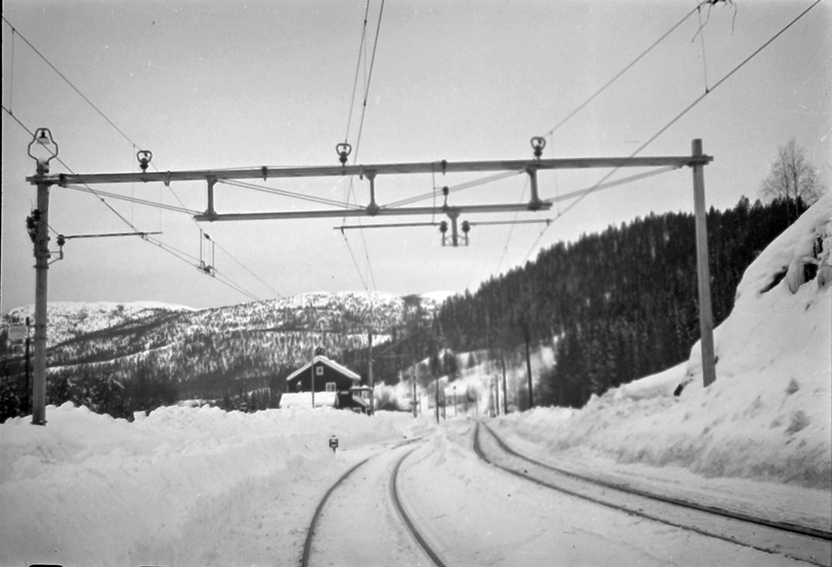 Anders Beer Wilse, Konv: Leica Statsbanene
